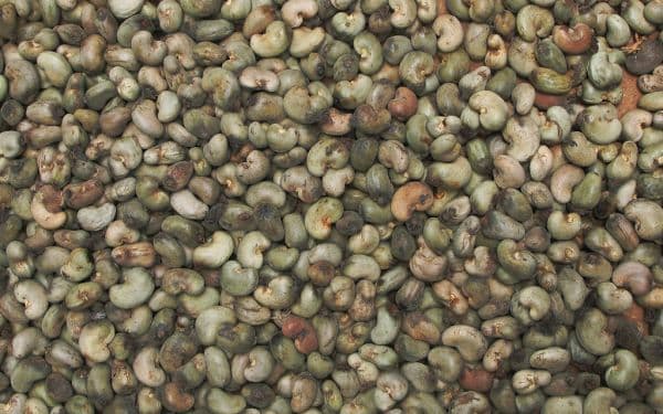 W320 Cashew Nuts 10kg Vacuum Pack